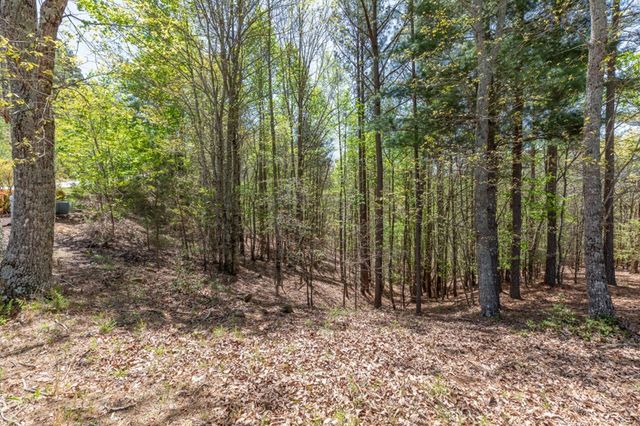 Lot 253 The Cove @ 1300, Blairsville, GA 30512