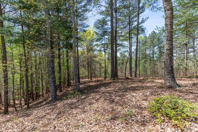 Lot 253 The Cove @ 1300, Blairsville, GA 30512