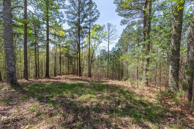 Lot 253 The Cove @ 1300, Blairsville, GA 30512