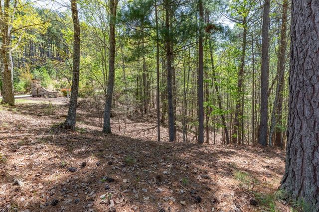 Lot 253 The Cove @ 1300, Blairsville, GA 30512