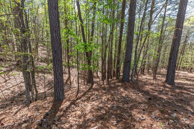 Lot 253 The Cove @ 1300, Blairsville, GA 30512