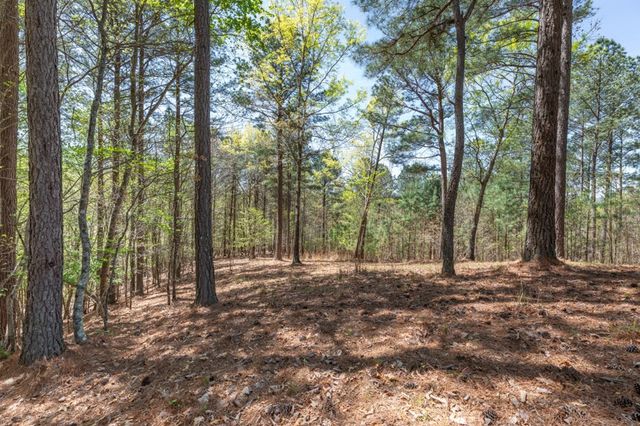Lot 253 The Cove @ 1300, Blairsville, GA 30512