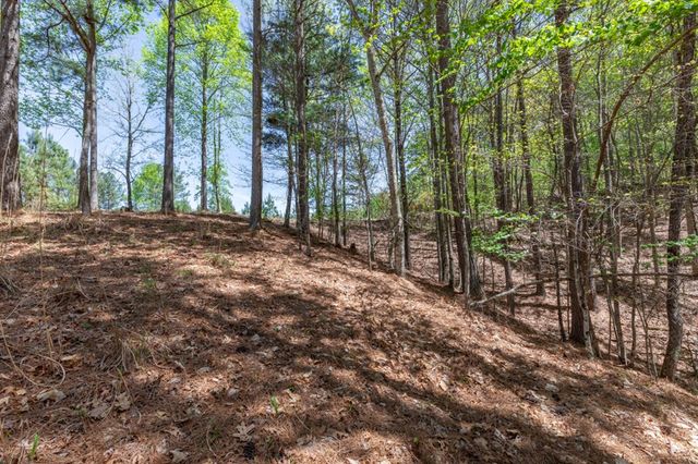 Lot 253 The Cove @ 1300, Blairsville, GA 30512