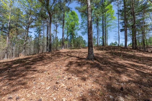 Lot 253 The Cove @ 1300, Blairsville, GA 30512