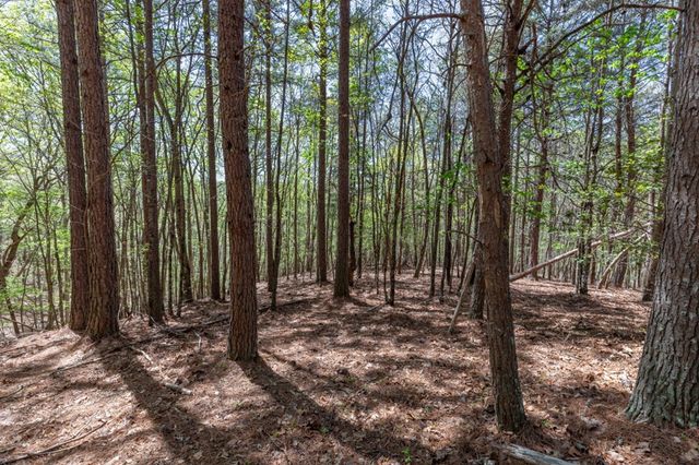 Lot 253 The Cove @ 1300, Blairsville, GA 30512