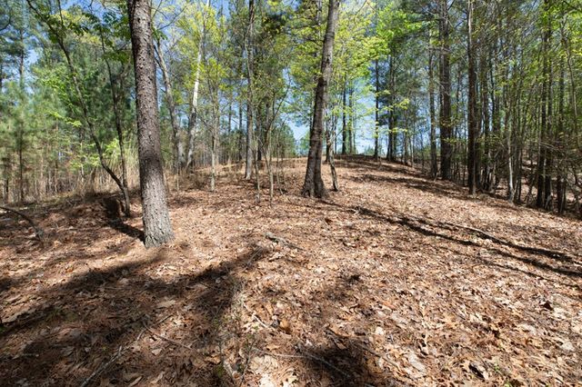 Lot 253 The Cove @ 1300, Blairsville, GA 30512