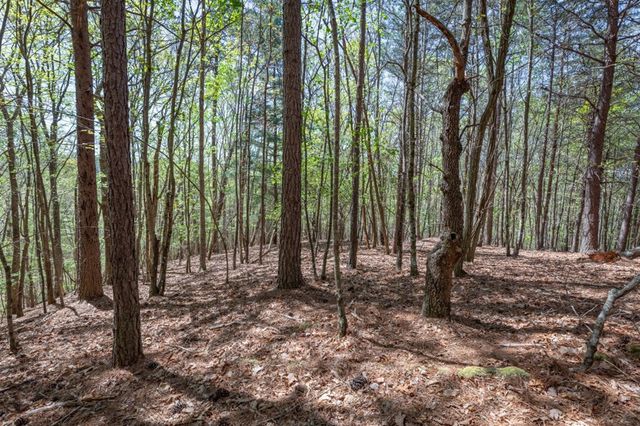 Lot 253 The Cove @ 1300, Blairsville, GA 30512