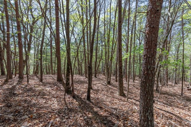 Lot 253 The Cove @ 1300, Blairsville, GA 30512