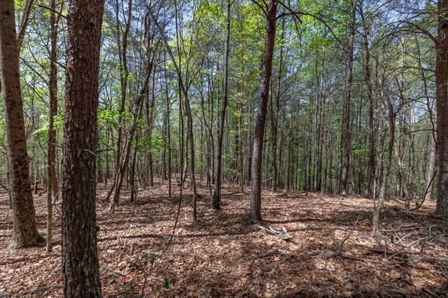 Lot 253 The Cove @ 1300, Blairsville, GA 30512