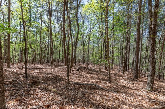 Lot 253 The Cove @ 1300, Blairsville, GA 30512