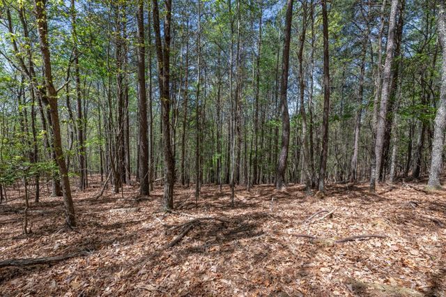 Lot 253 The Cove @ 1300, Blairsville, GA 30512