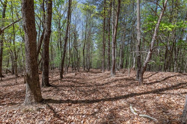 Lot 253 The Cove @ 1300, Blairsville, GA 30512