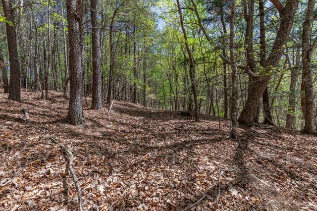 Lot 253 The Cove @ 1300, Blairsville, GA 30512