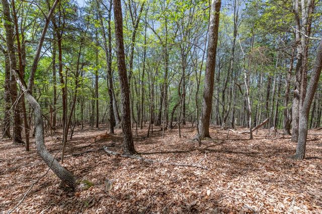 Lot 253 The Cove @ 1300, Blairsville, GA 30512