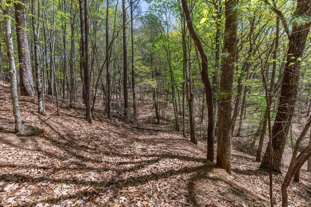 Lot 253 The Cove @ 1300, Blairsville, GA 30512