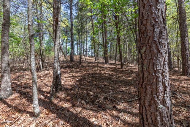 Lot 253 The Cove @ 1300, Blairsville, GA 30512