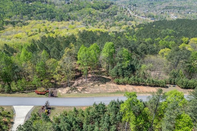 Lot 253 The Cove @ 1300, Blairsville, GA 30512