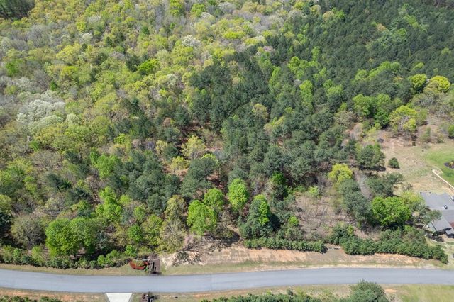Lot 253 The Cove @ 1300, Blairsville, GA 30512