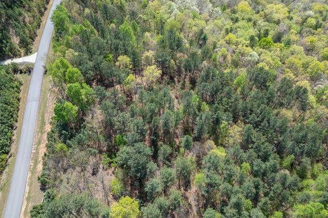 Lot 253 The Cove @ 1300, Blairsville, GA 30512