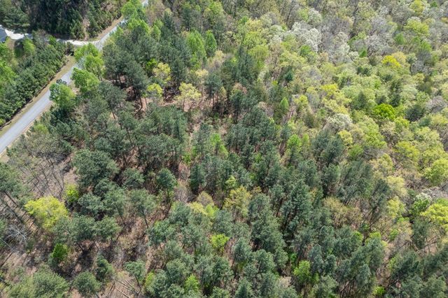 Lot 253 The Cove @ 1300, Blairsville, GA 30512