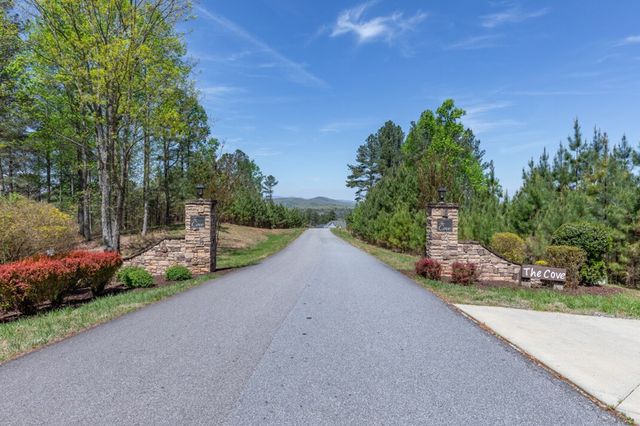 Lot 253 The Cove @ 1300, Blairsville, GA 30512