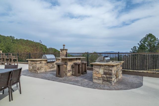Lot 253 The Cove @ 1300, Blairsville, GA 30512