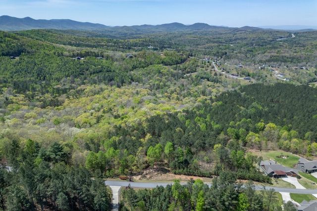 Lot 253 The Cove @ 1300, Blairsville, GA 30512