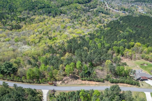 Lot 253 The Cove @ 1300, Blairsville, GA 30512