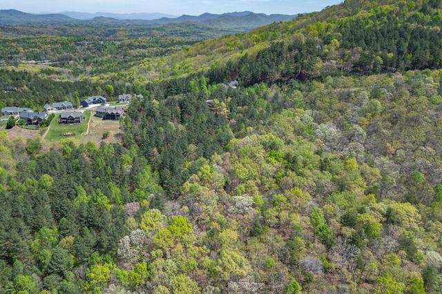 Lot 253 The Cove @ 1300, Blairsville, GA 30512