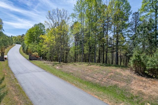Lot 253 The Cove @ 1300, Blairsville, GA 30512