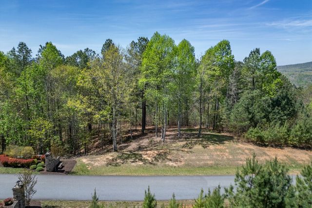 Lot 253 The Cove @ 1300, Blairsville, GA 30512