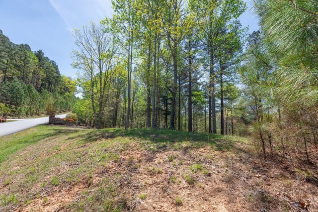 Lot 253 The Cove @ 1300, Blairsville, GA 30512