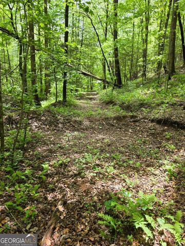 409 Harrison Sluder Road 140, Ellijay, GA 30540