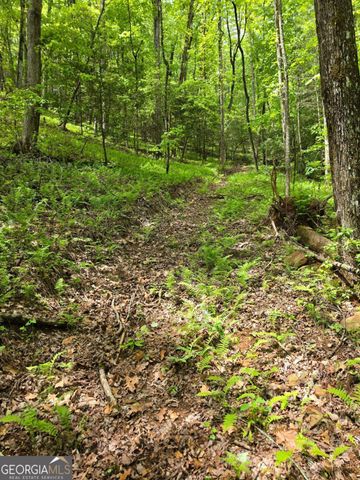 409 Harrison Sluder Road 140, Ellijay, GA 30540