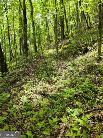 409 Harrison Sluder Road 140, Ellijay, GA 30540