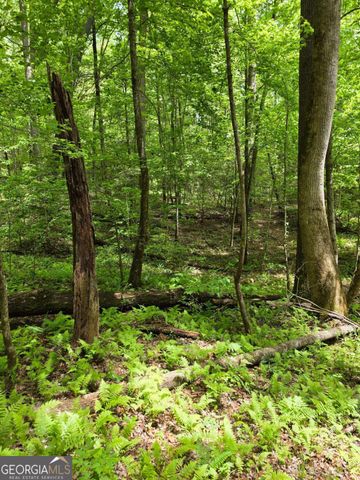 409 Harrison Sluder Road 140, Ellijay, GA 30540