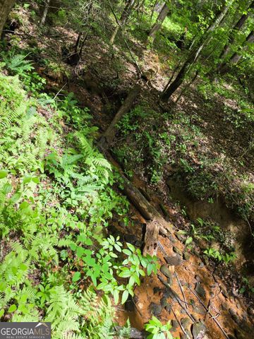 409 Harrison Sluder Road 140, Ellijay, GA 30540