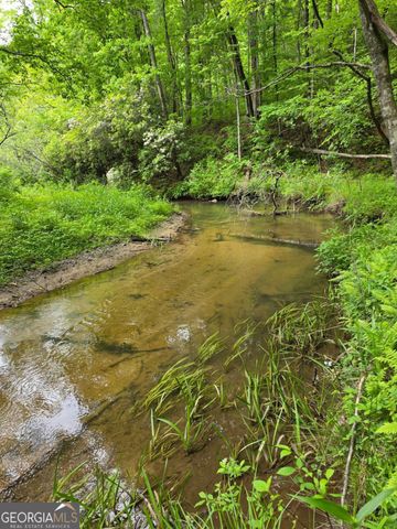 409 Harrison Sluder Road 140, Ellijay, GA 30540