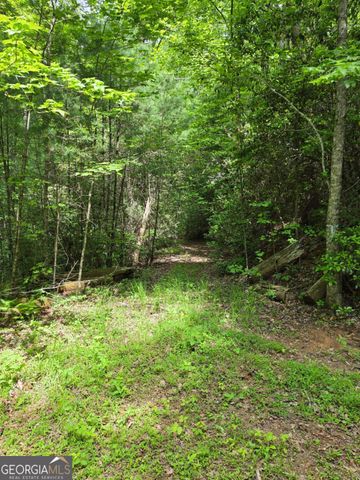 409 Harrison Sluder Road 140, Ellijay, GA 30540