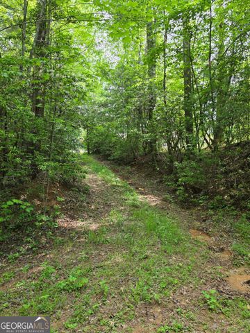 409 Harrison Sluder Road 140, Ellijay, GA 30540