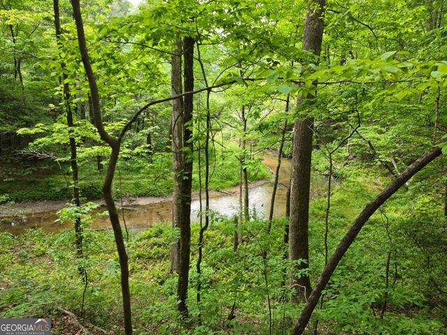 409 Harrison Sluder Road 140, Ellijay, GA 30540