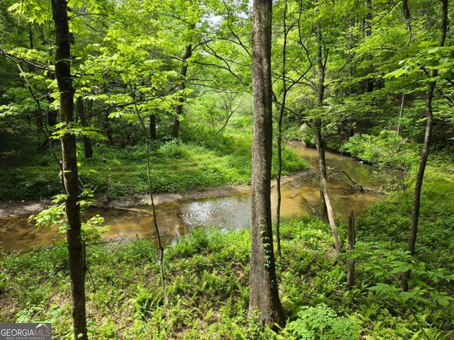 409 Harrison Sluder Road 140, Ellijay, GA 30540