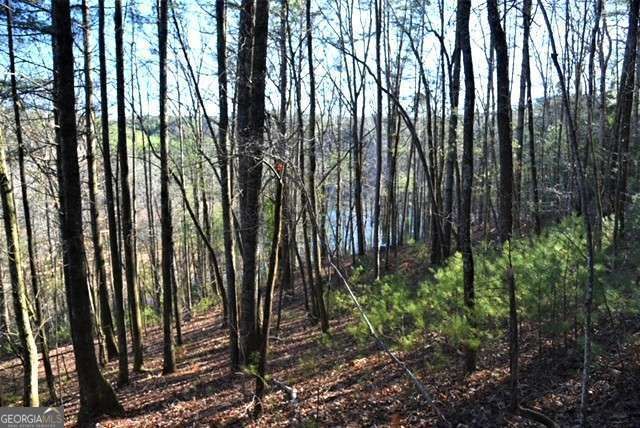 409 Harrison Sluder Road 140, Ellijay, GA 30540