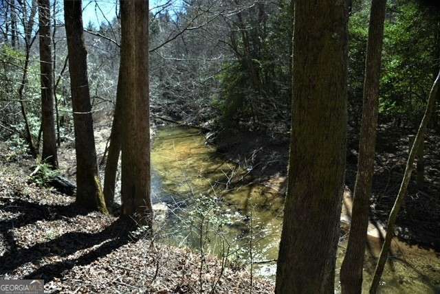 409 Harrison Sluder Road 140, Ellijay, GA 30540