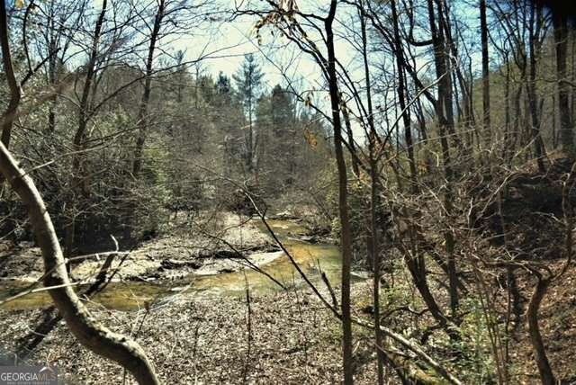 409 Harrison Sluder Road 140, Ellijay, GA 30540