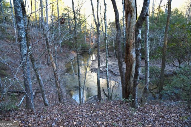 409 Harrison Sluder Road 140, Ellijay, GA 30540