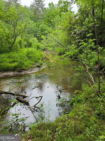 409 Harrison Sluder Road 140, Ellijay, GA 30540