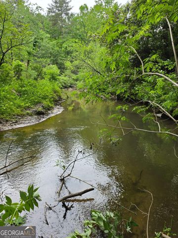 409 Harrison Sluder Road 140, Ellijay, GA 30540