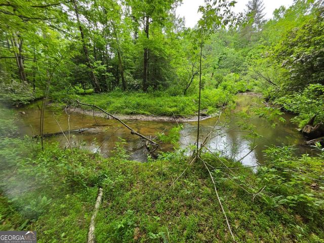 409 Harrison Sluder Road 140, Ellijay, GA 30540