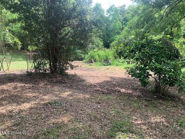 408 Ruskin Avenue, Ocean Springs, MS 39564